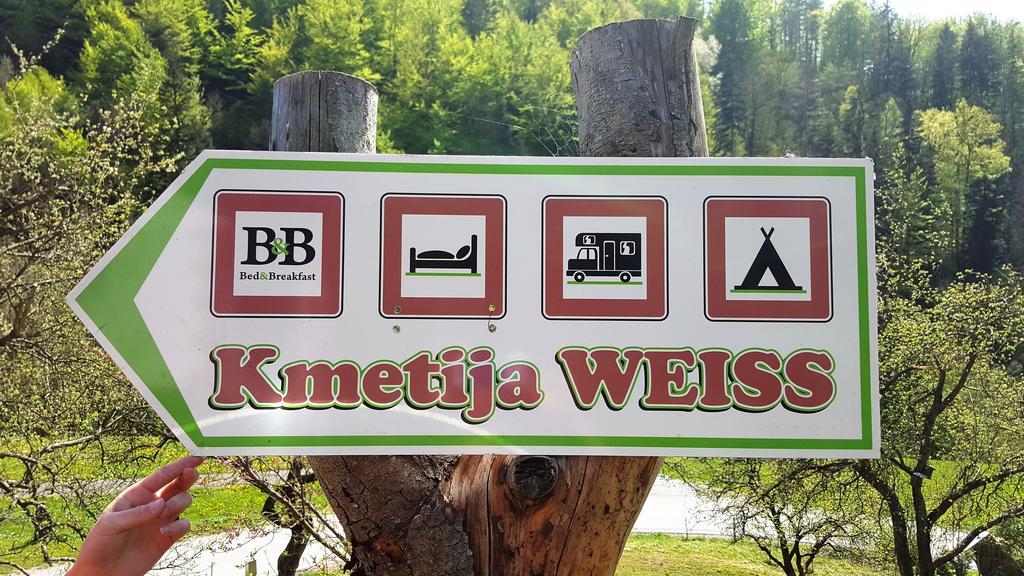 Turisticna Kmetija Weiss Villa Miklavz pri Taboru Exterior photo