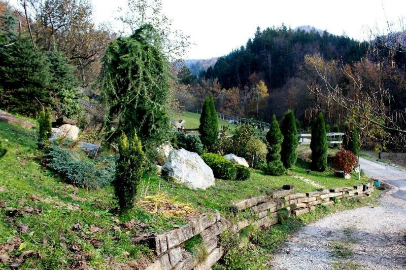 Turisticna Kmetija Weiss Villa Miklavz pri Taboru Exterior photo