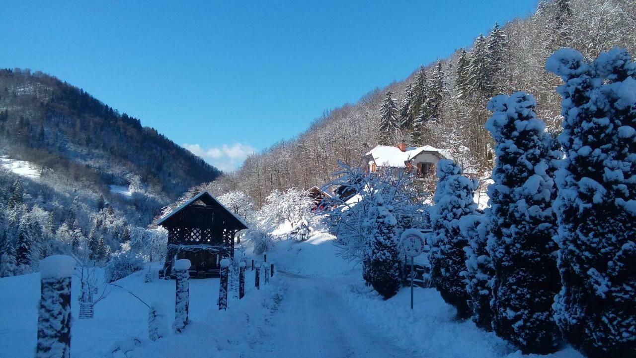Turisticna Kmetija Weiss Villa Miklavz pri Taboru Exterior photo